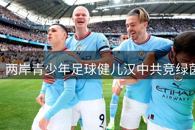 两岸青少年足球健儿汉中共竞绿茵场
