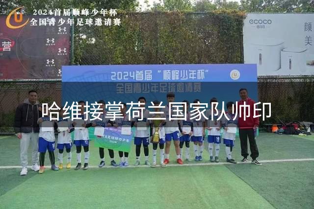 哈维接掌荷兰国家队帅印